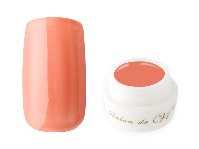 GEL | Salon de Vi2